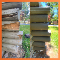Dry rot can infect all kinds of wood including the wood used on log cabins but have no fear as Preservan can fix dry rot.