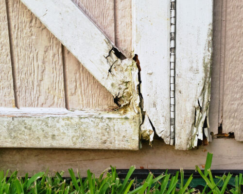 Dry rot on doors happens everywhere & although you can fix it yourself, it is much better to hire a professional to do it.