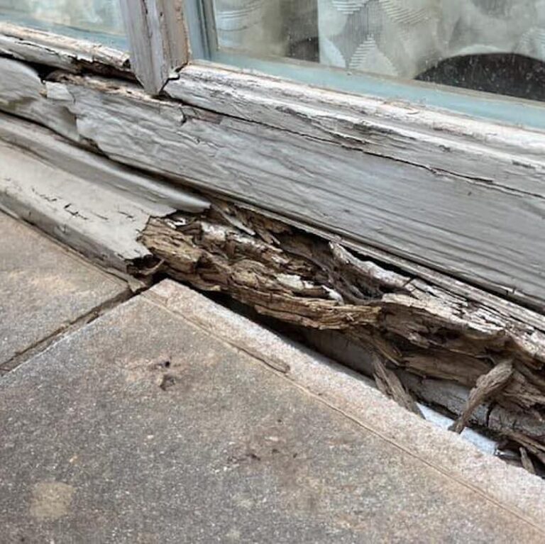 Why Fix Wood Rot Wood Rot Repair Treatments
