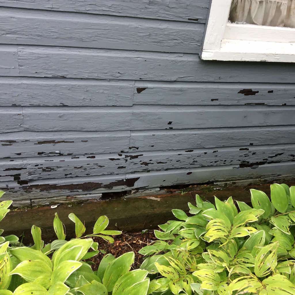 Homeowners can protect their properties from dry rot in the fall by cleaning gutters, sealing wood, and improving drainage.