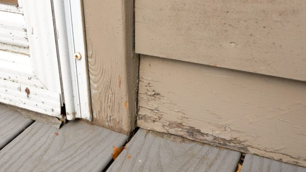 Wood Rot Repair vs. Siding Replacement