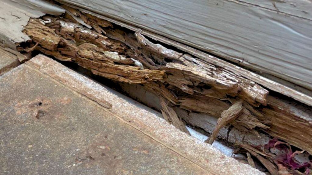 Stopping Decay at the Source and Protecting Wood for Life