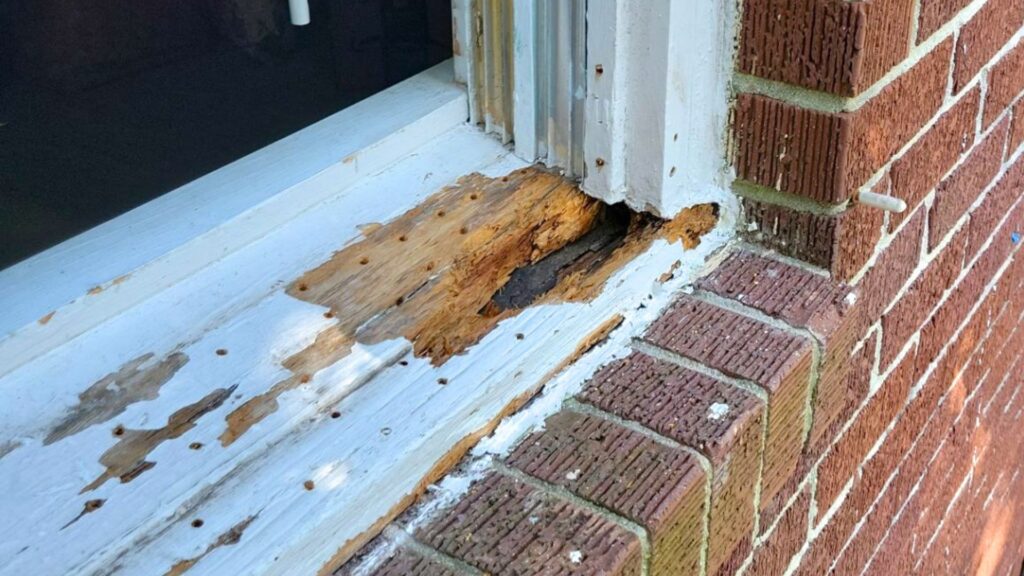 wood restoration homeowners saving money
